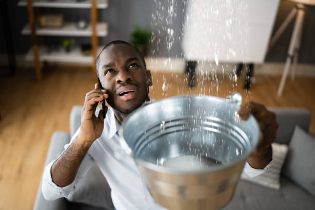 Best Mold removal after water damage  in Salem, IL