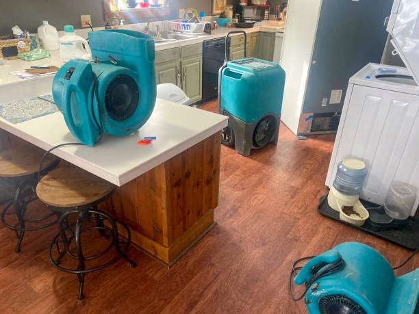Best Ceiling water damage repair  in Salem, IL