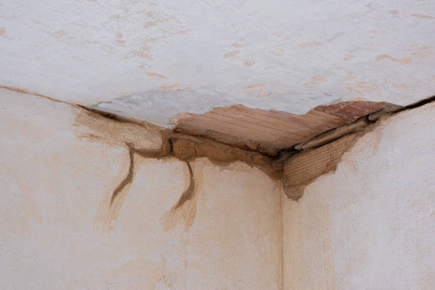 Best Water damage restoration specialists  in Salem, IL