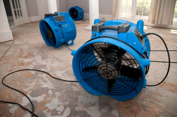 Best Sewage cleanup and water damage restoration  in Salem, IL