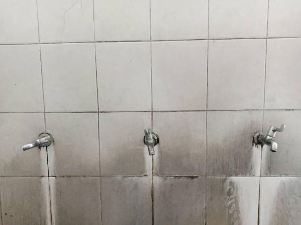 Best 24/7 water damage repair  in Salem, IL