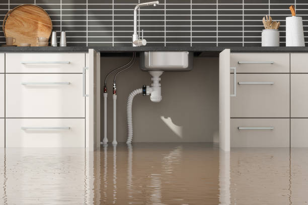Best Commercial water damage restoration  in Salem, IL