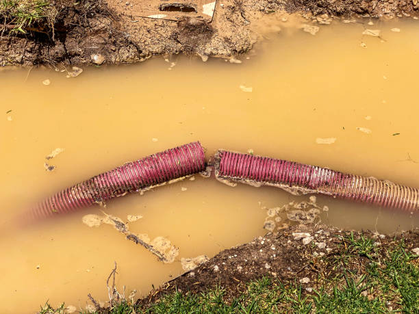 Best Water damage contractors near me  in Salem, IL