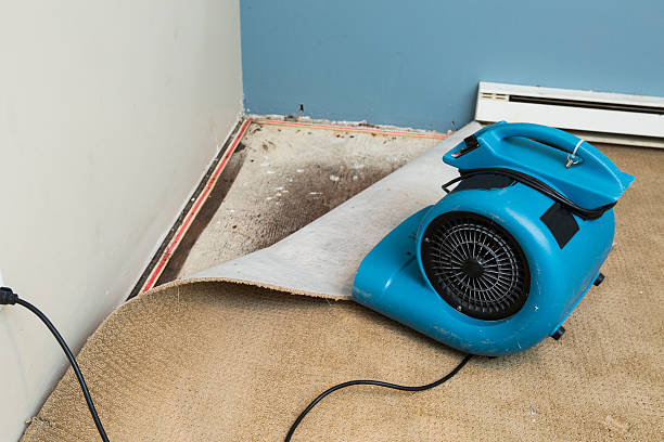 Best Carpet water damage restoration  in Salem, IL